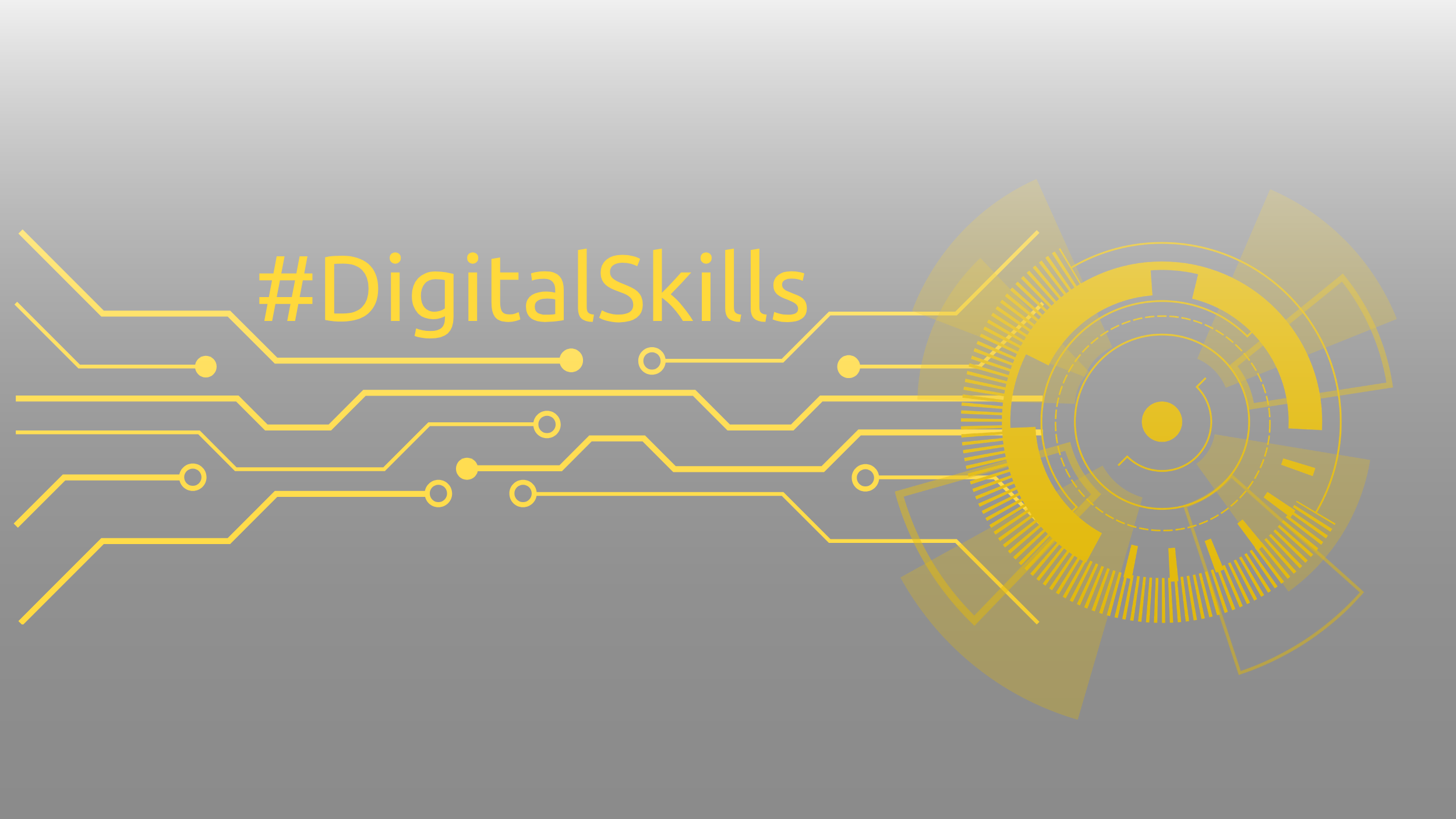 Digital Skills